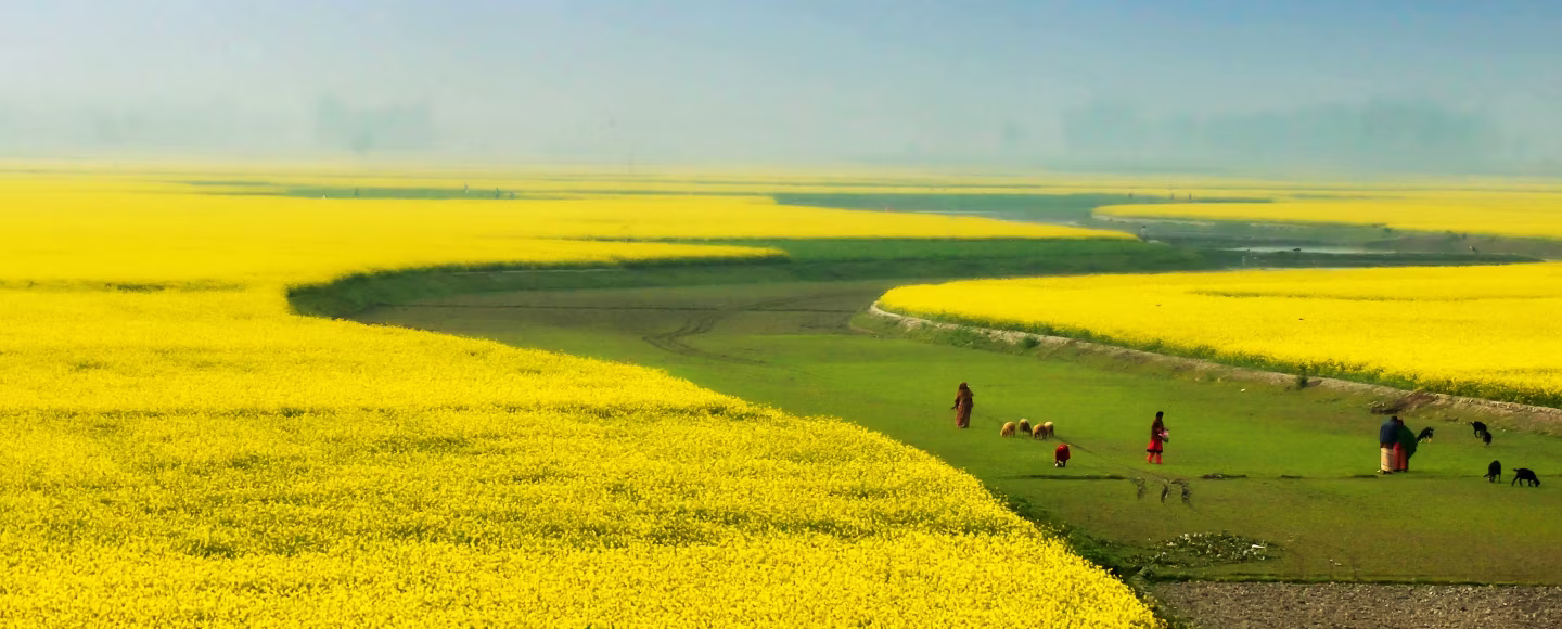 Bangladesh