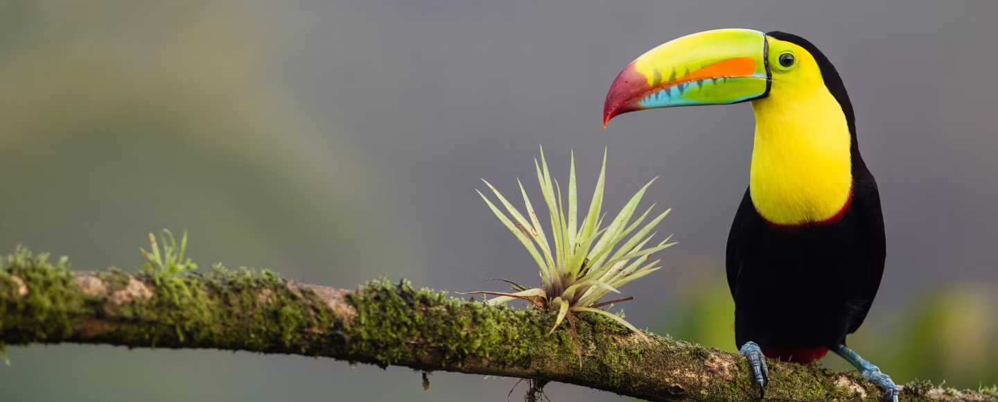 Costa Rica