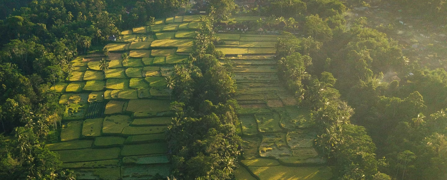 Ten Best Things to Do in Indonesia