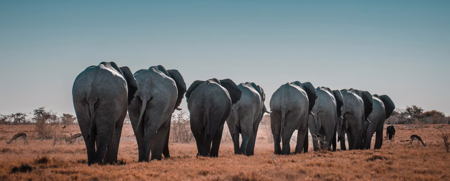 Ten Best Things to Do in Namibia